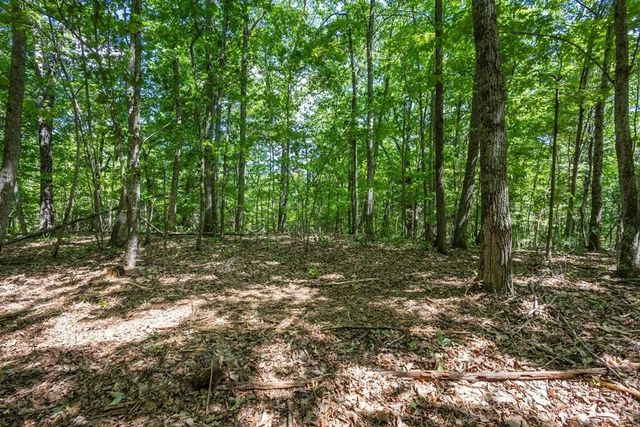 20 Pack Mountain Road, Murphy, NC 28906
