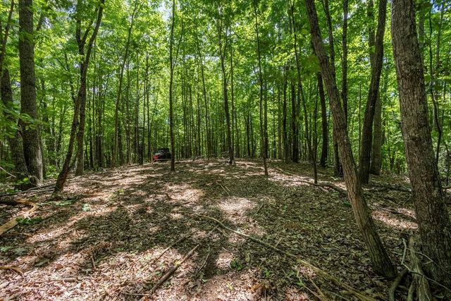 20 Pack Mountain Road, Murphy, NC 28906