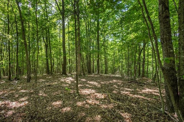 20 Pack Mountain Road, Murphy, NC 28906