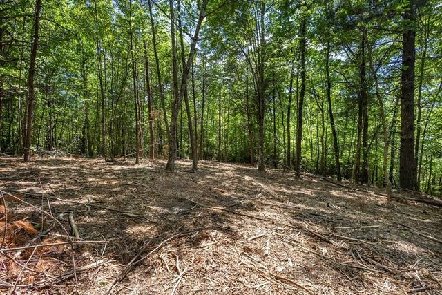 20 Pack Mountain Road, Murphy, NC 28906