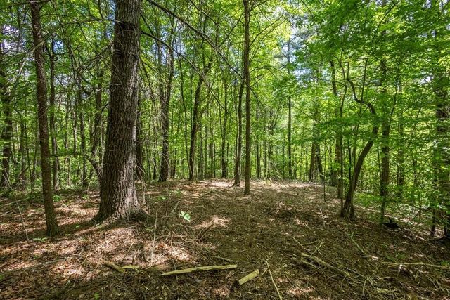 20 Pack Mountain Road, Murphy, NC 28906