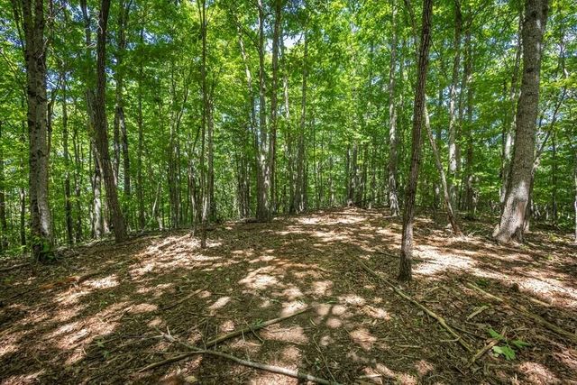 20 Pack Mountain Road, Murphy, NC 28906