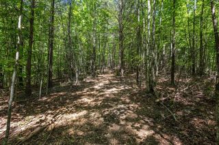 20 Pack Mountain Road, Murphy, NC 28906