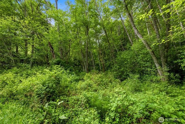 241 NE Rendsland Creek Road, Tahuya, WA 98588