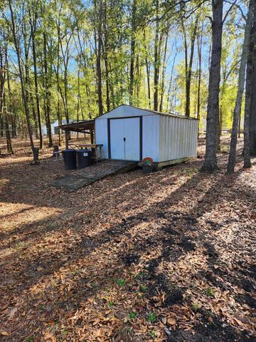 1012 Princess Trace Circle, Summerton, SC 29148