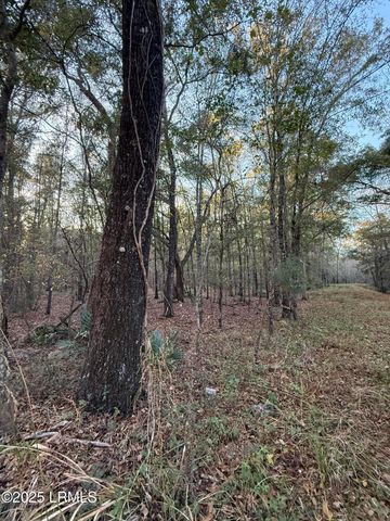 80 Big Estates Circle, Yemassee, SC 29945