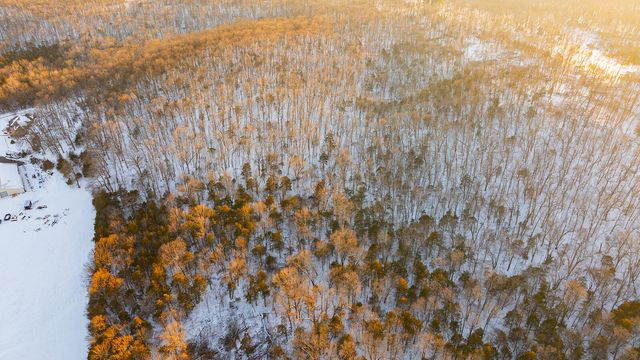 11755 N Farm Road 177, Fair Grove, MO 65648