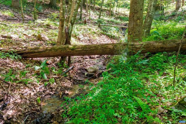4375 TAYLOR CREEK RD, Afton, VA 22920