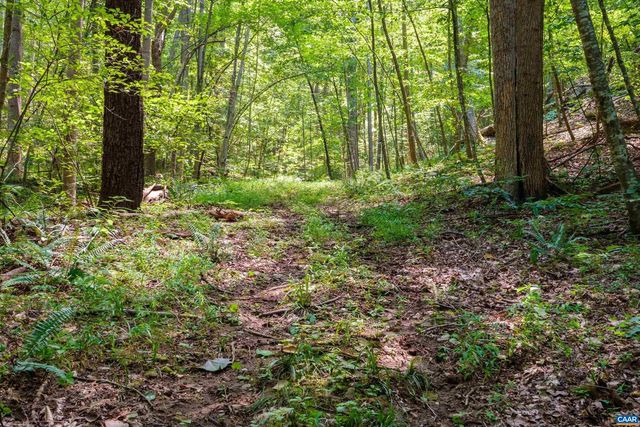 4375 TAYLOR CREEK RD, Afton, VA 22920