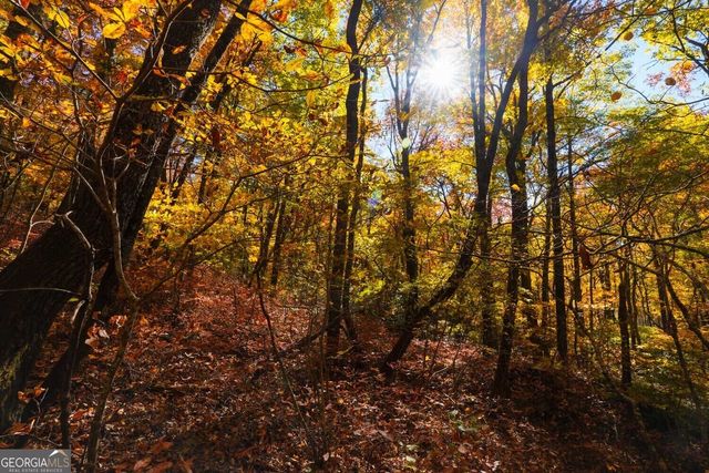 0 Bald Mountain 55,57, Dillard, GA 30537