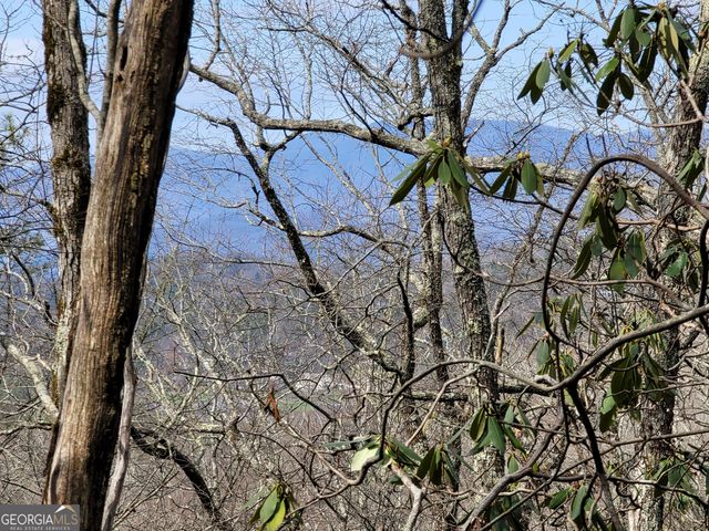 0 Bald Mountain 55,57, Dillard, GA 30537
