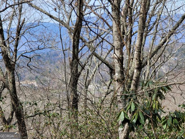 0 Bald Mountain 55,57, Dillard, GA 30537
