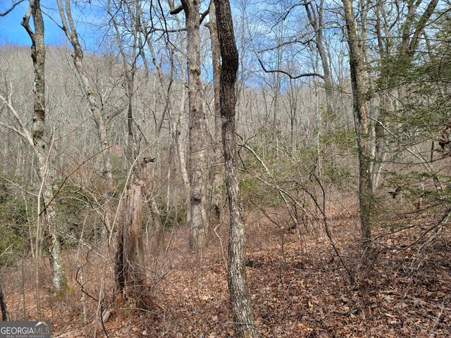 0 Bald Mountain 55,57, Dillard, GA 30537