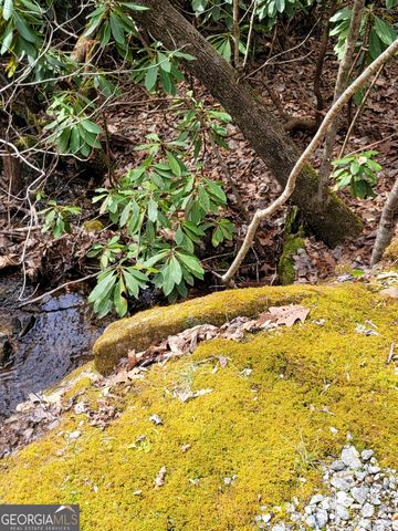 0 Bald Mountain 55,57, Dillard, GA 30537