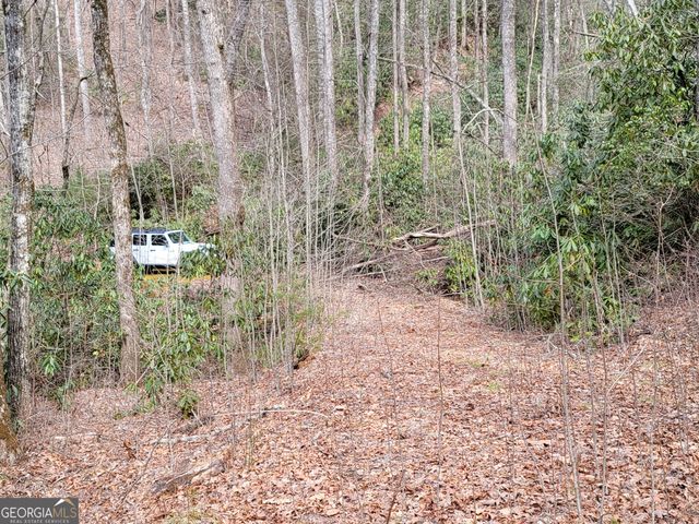 0 Bald Mountain 55,57, Dillard, GA 30537