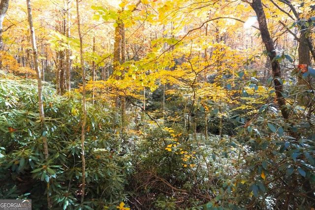 0 Bald Mountain 55,57, Dillard, GA 30537
