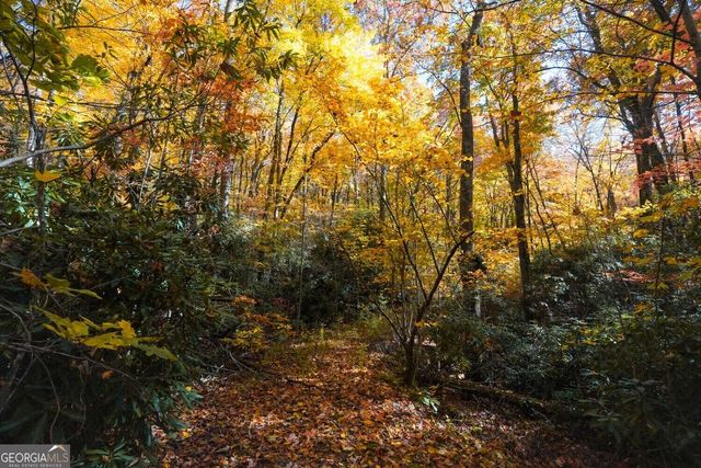 0 Bald Mountain 55,57, Dillard, GA 30537