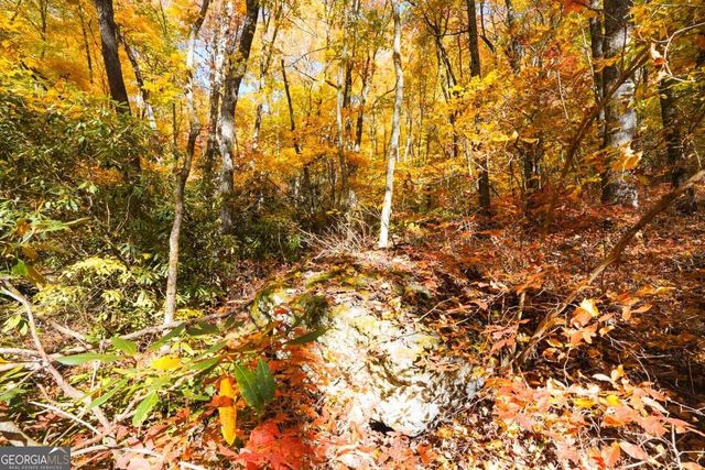 0 Bald Mountain 55,57, Dillard, GA 30537