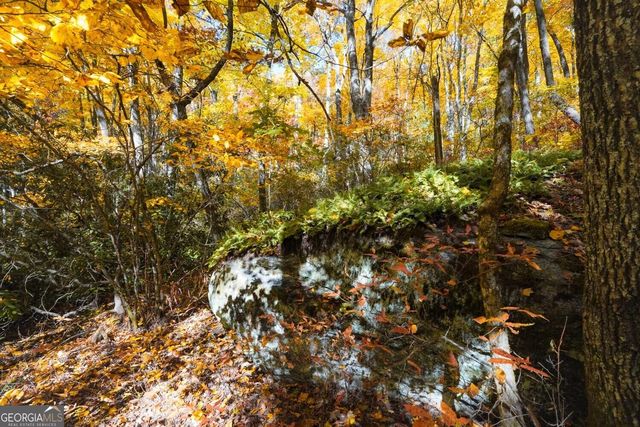 0 Bald Mountain 55,57, Dillard, GA 30537