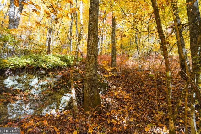 0 Bald Mountain 55,57, Dillard, GA 30537