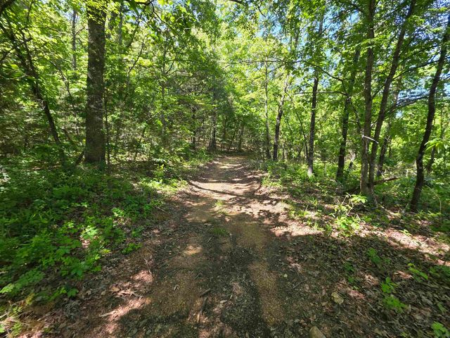 L43, 44 White Horse Mountain Road, Hardy, AR 72542
