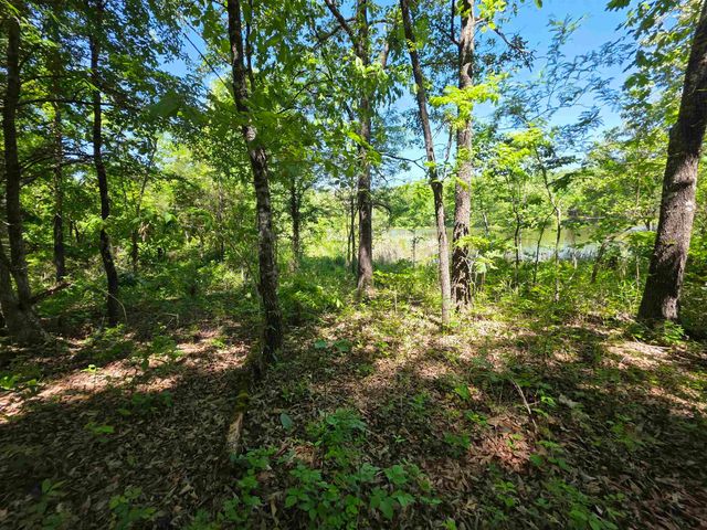 L43, 44 White Horse Mountain Road, Hardy, AR 72542