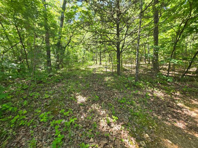 L43, 44 White Horse Mountain Road, Hardy, AR 72542