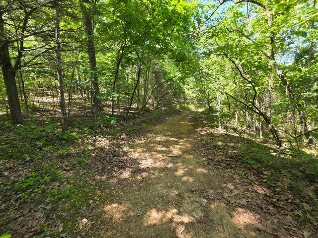 L43, 44 White Horse Mountain Road, Hardy, AR 72542