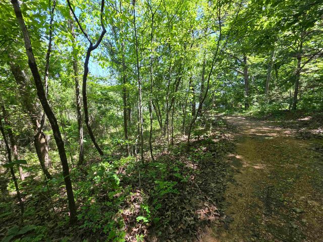 L43, 44 White Horse Mountain Road, Hardy, AR 72542