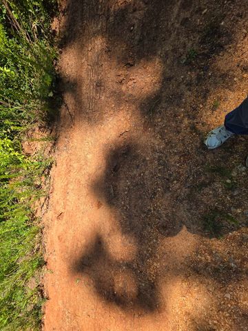 L43, 44 White Horse Mountain Road, Hardy, AR 72542