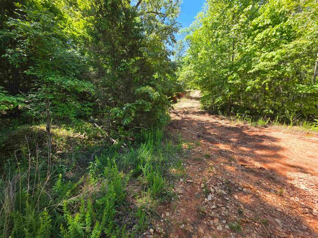 L43, 44 White Horse Mountain Road, Hardy, AR 72542