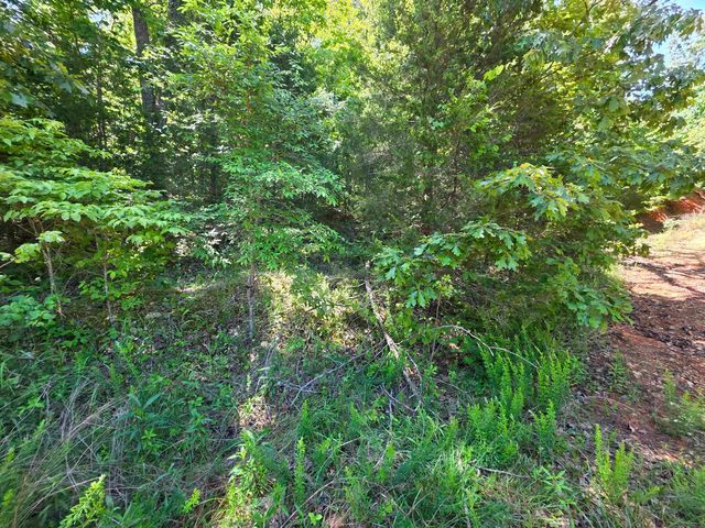 L43, 44 White Horse Mountain Road, Hardy, AR 72542