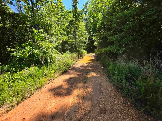 L43, 44 White Horse Mountain Road, Hardy, AR 72542