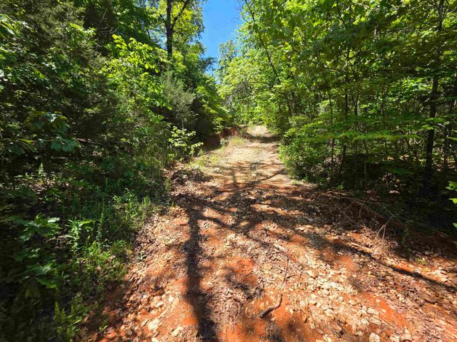 L43, 44 White Horse Mountain Road, Hardy, AR 72542
