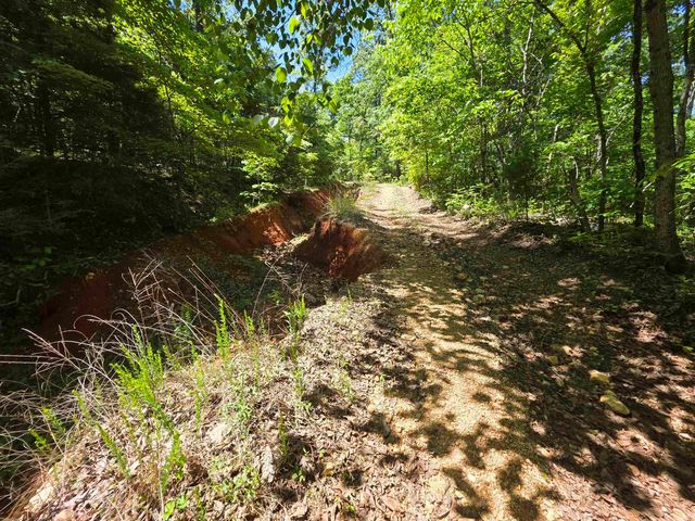 L43, 44 White Horse Mountain Road, Hardy, AR 72542