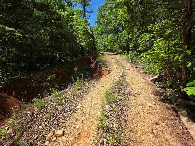 L43, 44 White Horse Mountain Road, Hardy, AR 72542