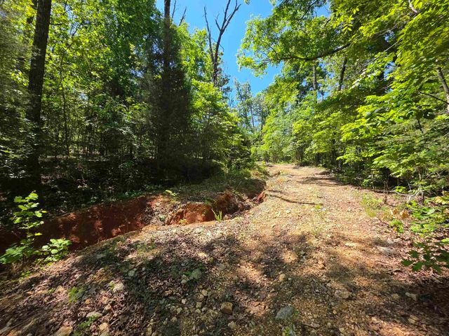 L43, 44 White Horse Mountain Road, Hardy, AR 72542
