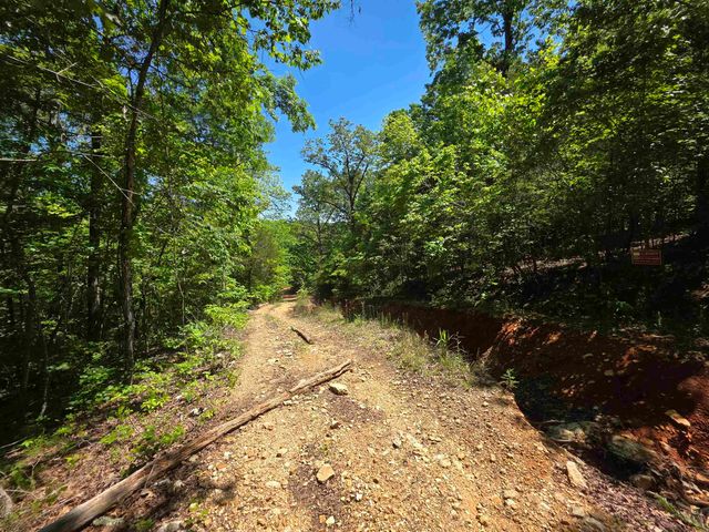 L43, 44 White Horse Mountain Road, Hardy, AR 72542