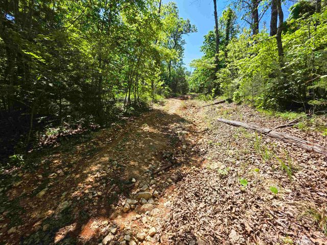 L43, 44 White Horse Mountain Road, Hardy, AR 72542