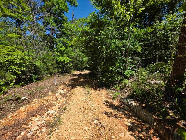 L43, 44 White Horse Mountain Road, Hardy, AR 72542