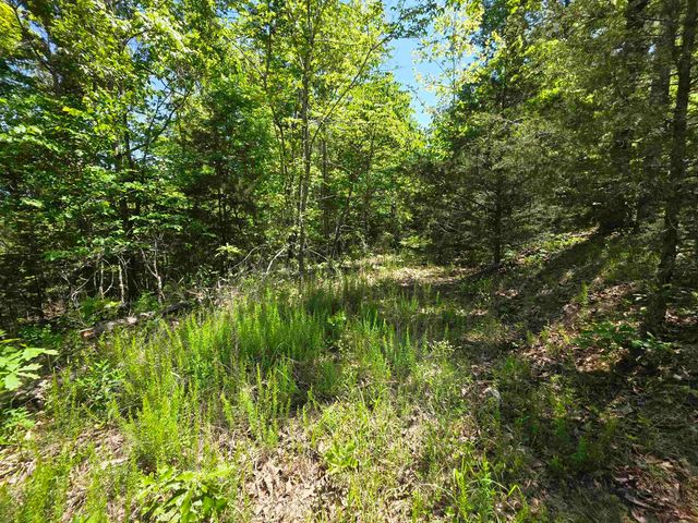 L43, 44 White Horse Mountain Road, Hardy, AR 72542