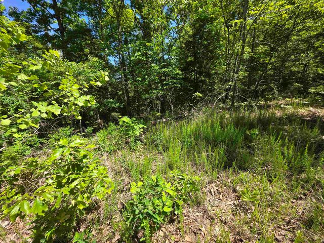 L43, 44 White Horse Mountain Road, Hardy, AR 72542