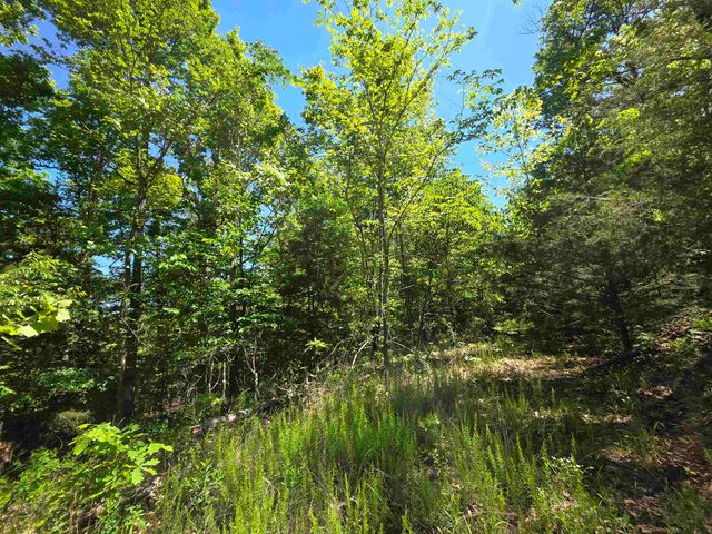 L43, 44 White Horse Mountain Road, Hardy, AR 72542