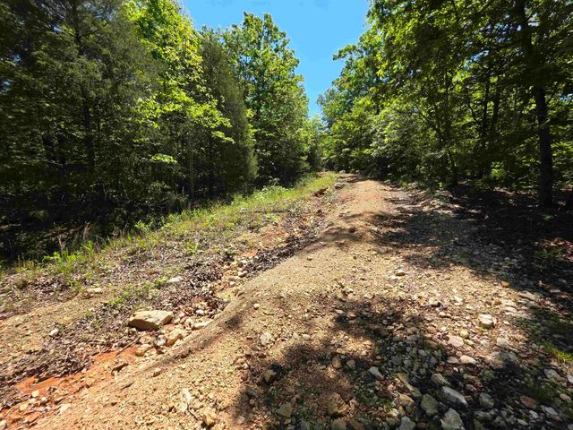 L43, 44 White Horse Mountain Road, Hardy, AR 72542
