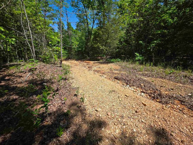 L43, 44 White Horse Mountain Road, Hardy, AR 72542