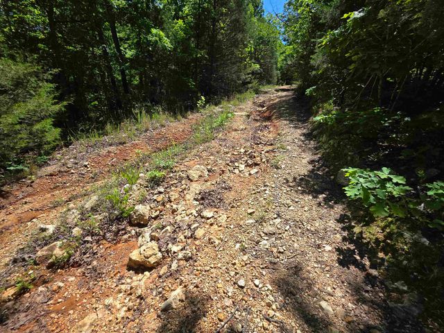 L43, 44 White Horse Mountain Road, Hardy, AR 72542