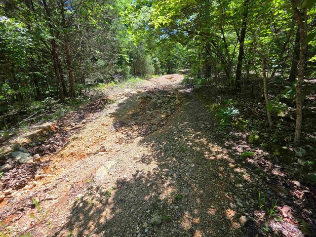 L43, 44 White Horse Mountain Road, Hardy, AR 72542