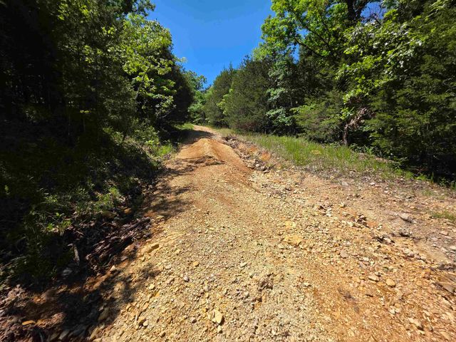 L43, 44 White Horse Mountain Road, Hardy, AR 72542
