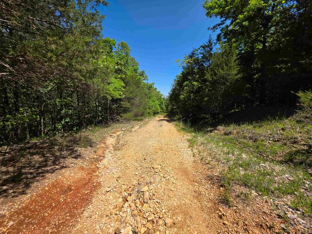 L43, 44 White Horse Mountain Road, Hardy, AR 72542