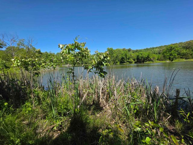 L43, 44 White Horse Mountain Road, Hardy, AR 72542